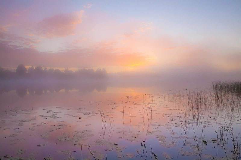 Рассветная акварель фото превью
