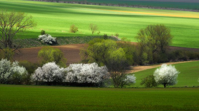 zanfoar,майский пейзаж,nikon d750,чешская республика,моравия начало мая фото превью
