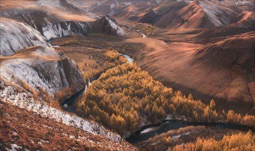 Кокоря и первый снег ..