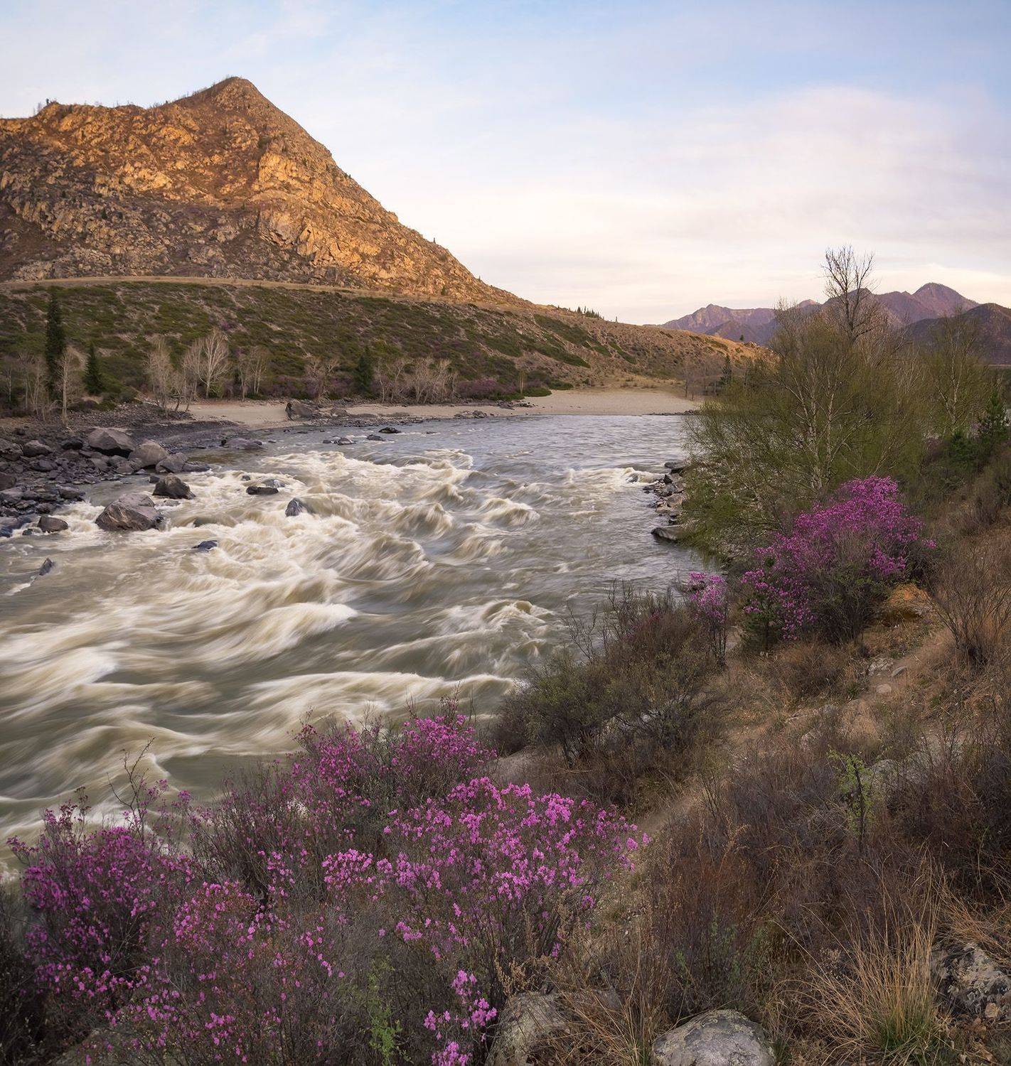 , Лещёнок Александр