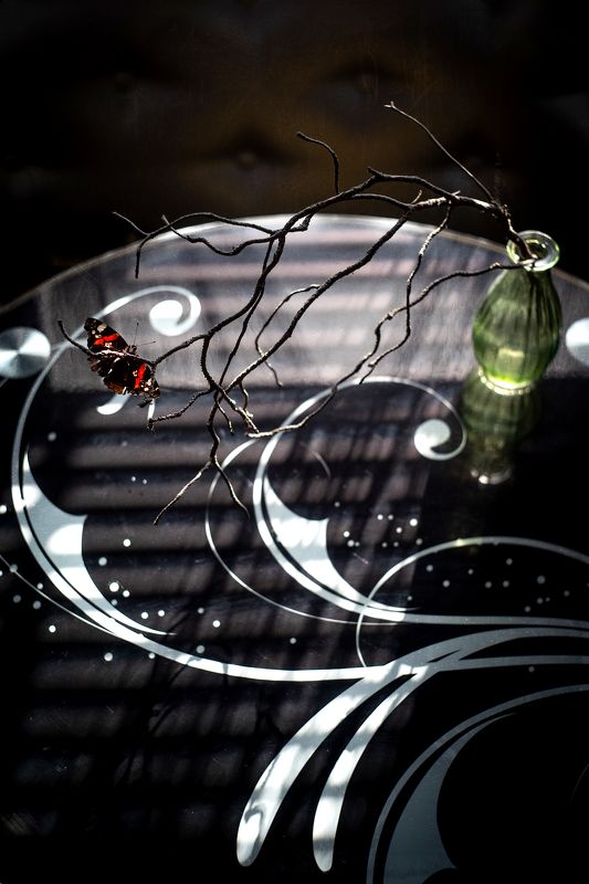 натюрморт, бабочка, крапивница, весна С бабочкой фото превью