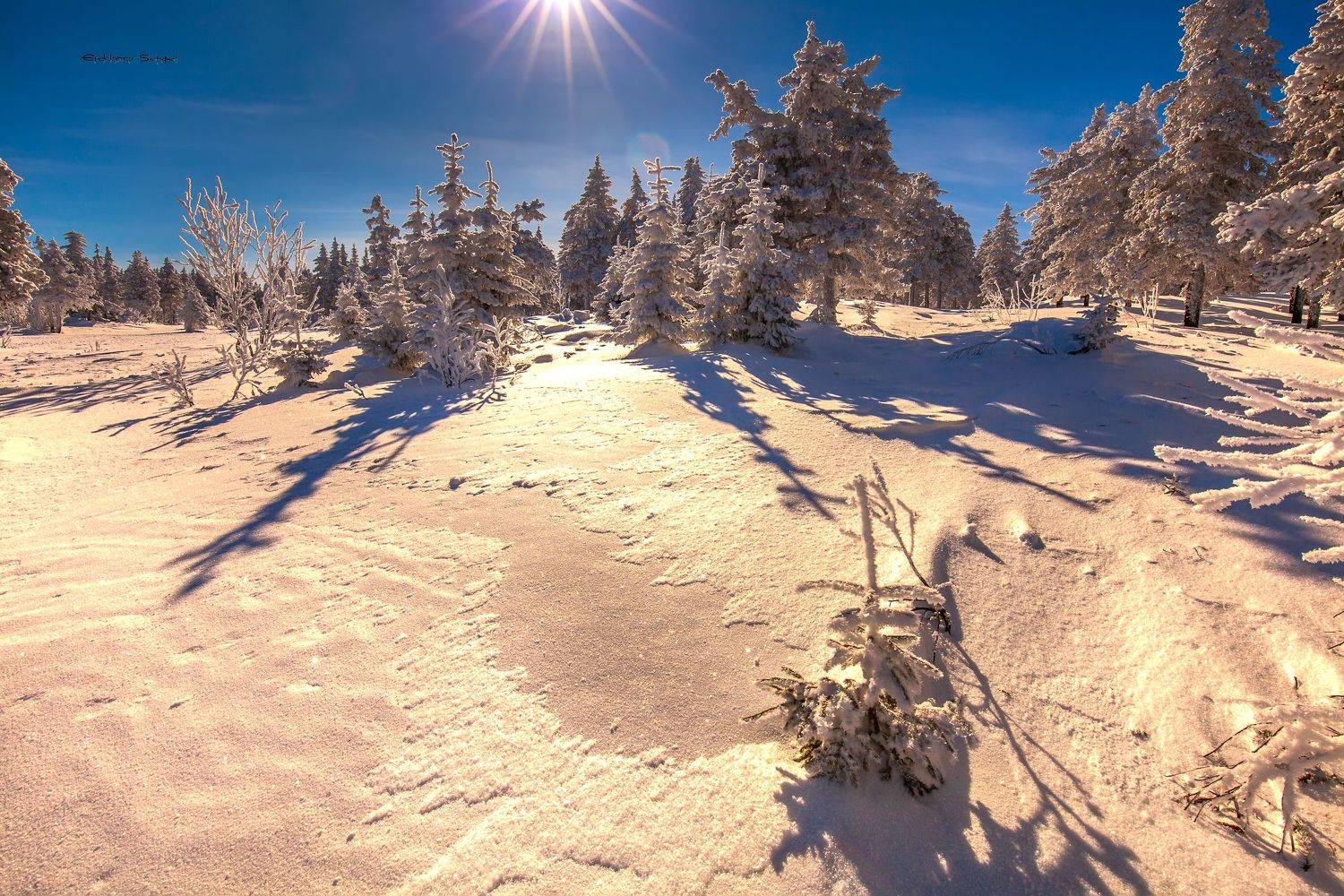 , Евдокимов Сергей