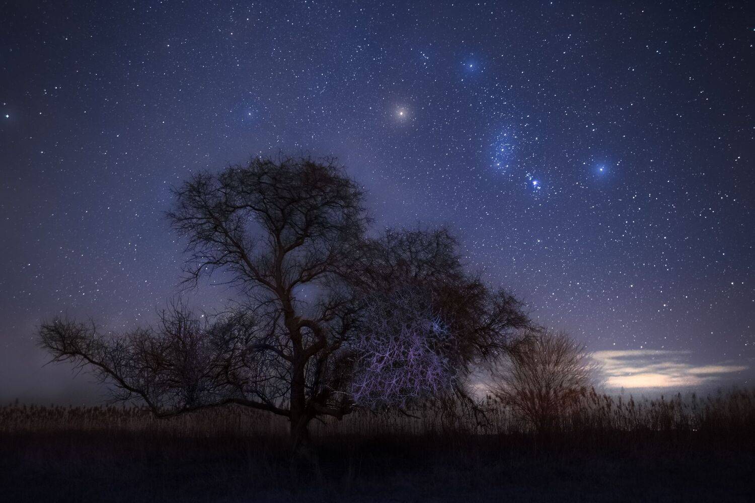 , Семисотова Ольга