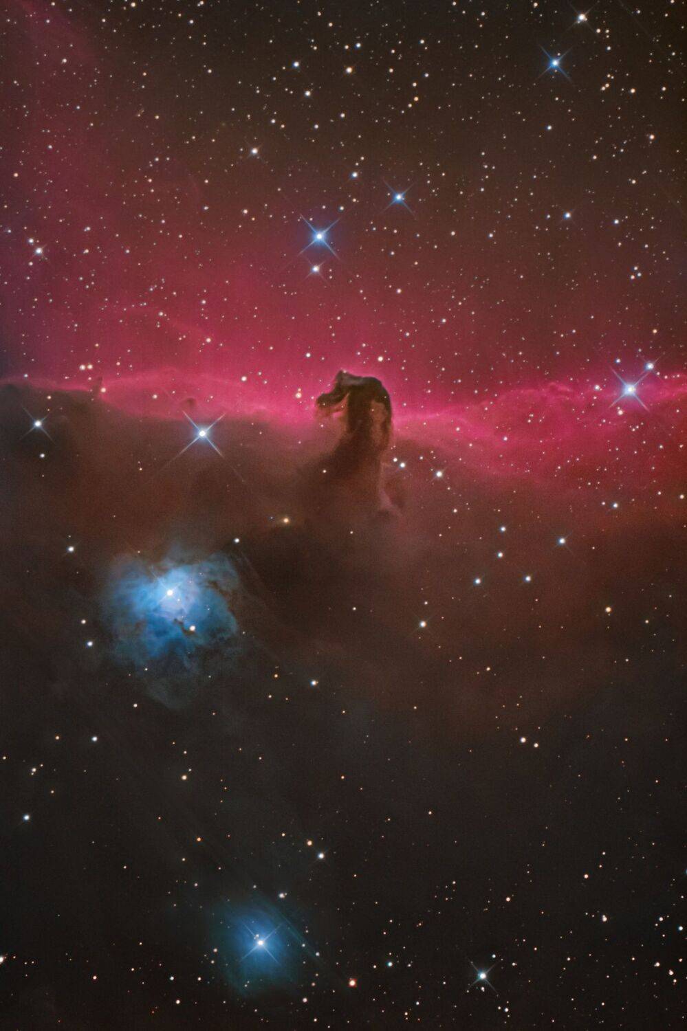 , Семисотова Ольга