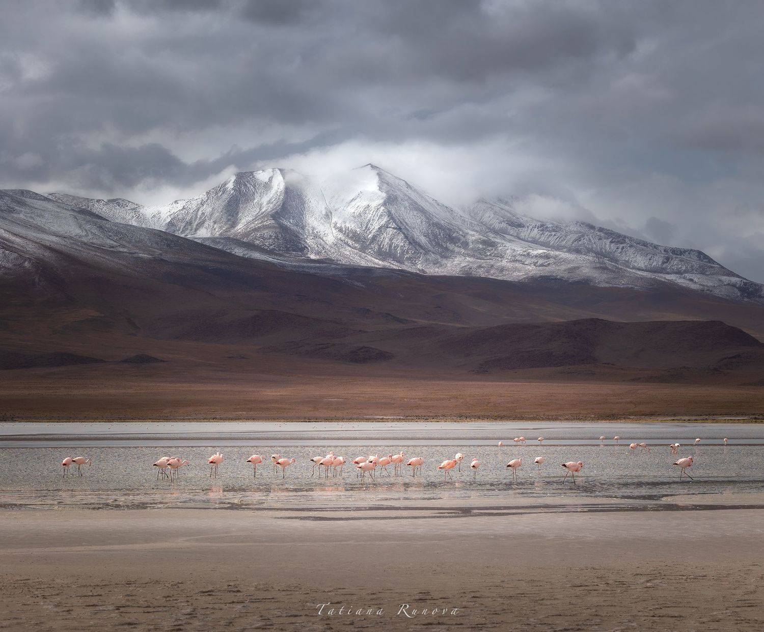 , Рунова Татьяна