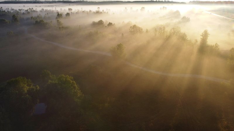Летнее утро фото превью
