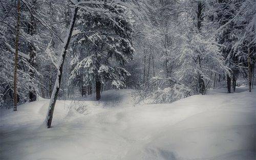 Умчались снежные метели...