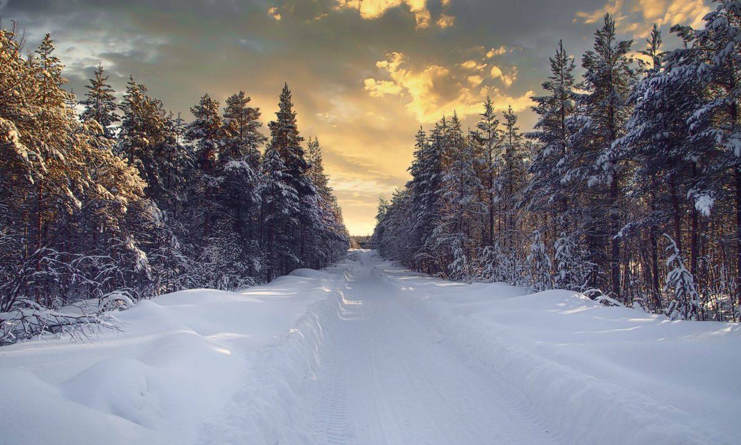 кольский, ковдор, заполярье, Покровский Алексей