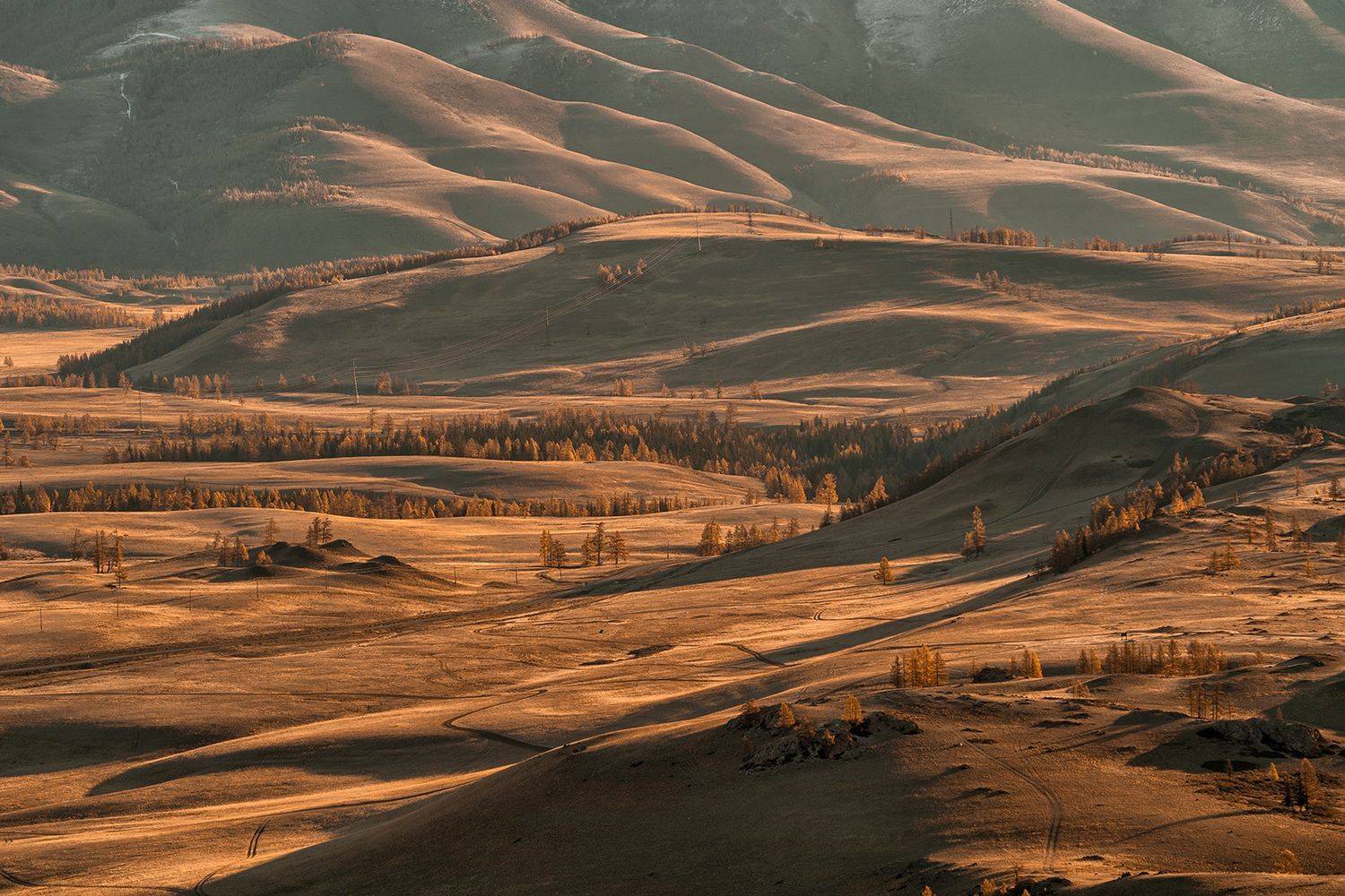 , Лариса Николаевна Дука