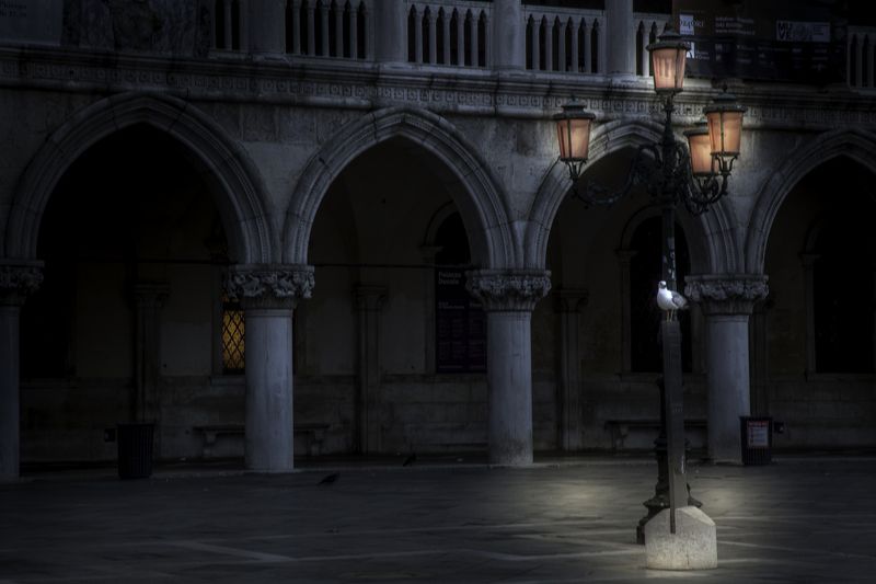 Venice фото превью