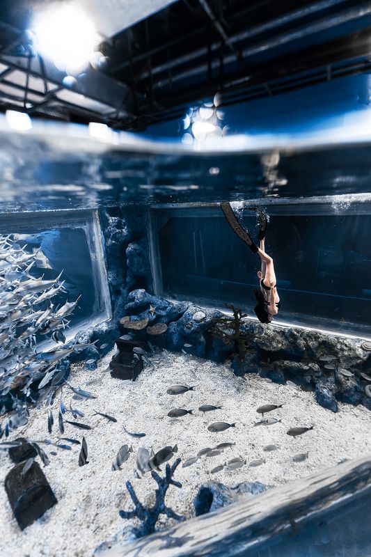 freedive Dive фото превью