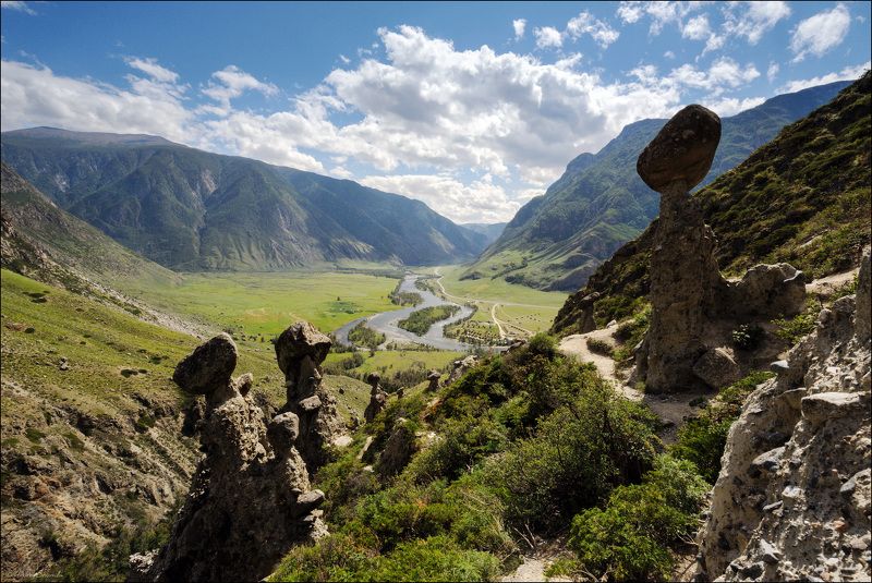 горный алтай, каменные грибы, чулышман Каменные грибы. фото превью