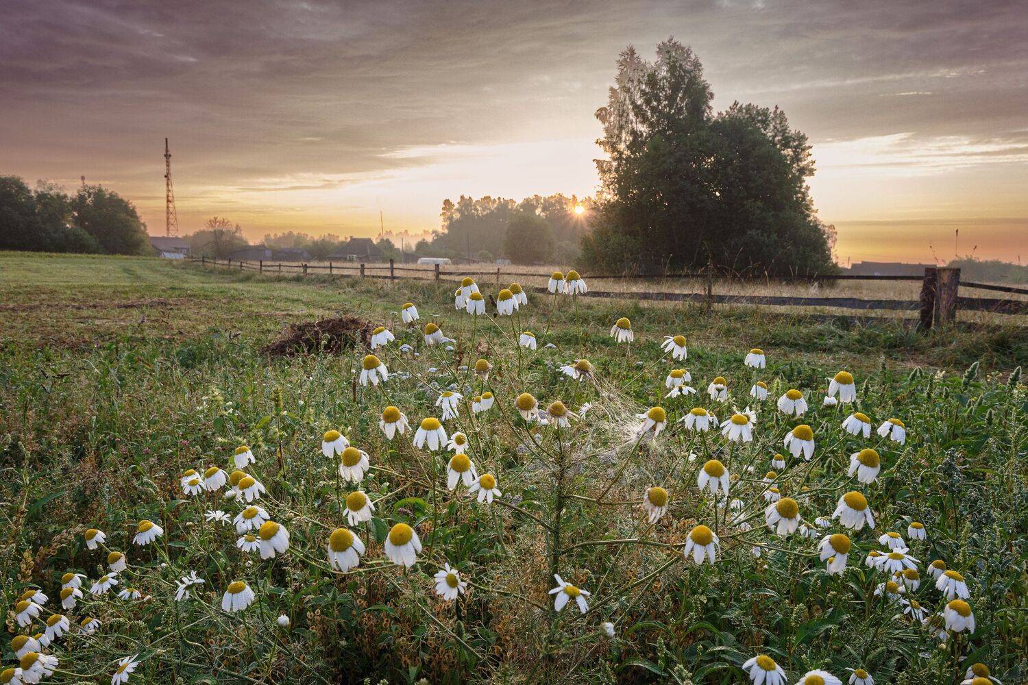 , Зеленько Дмитрий
