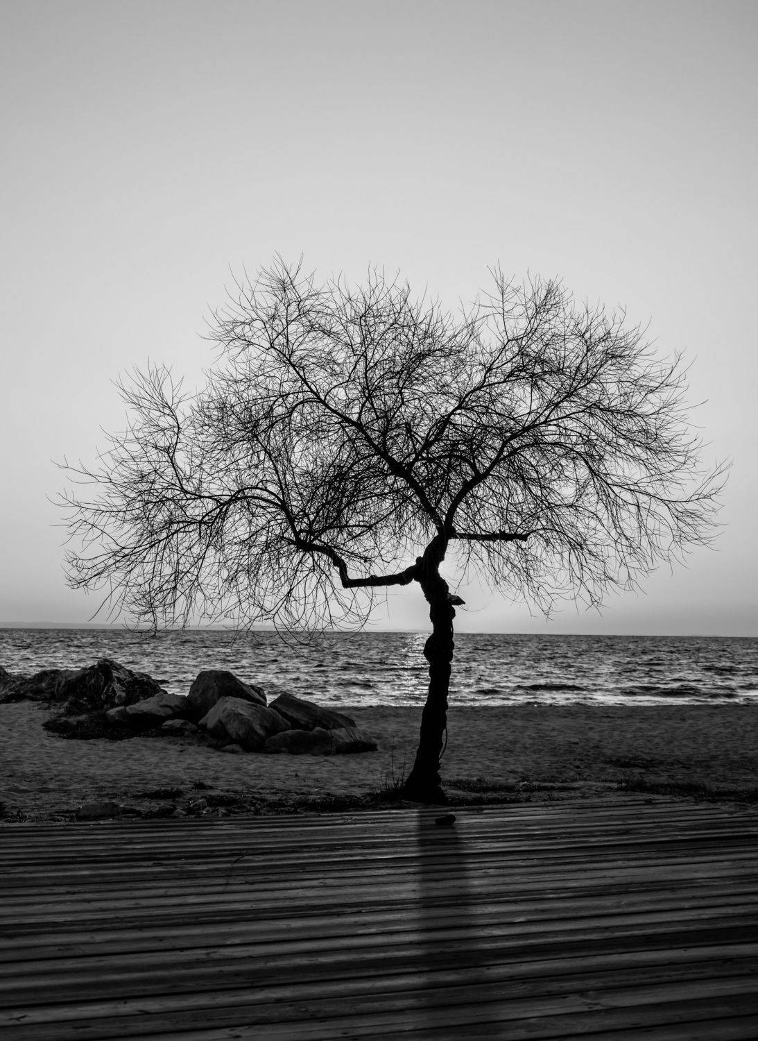 , Шилов Александр