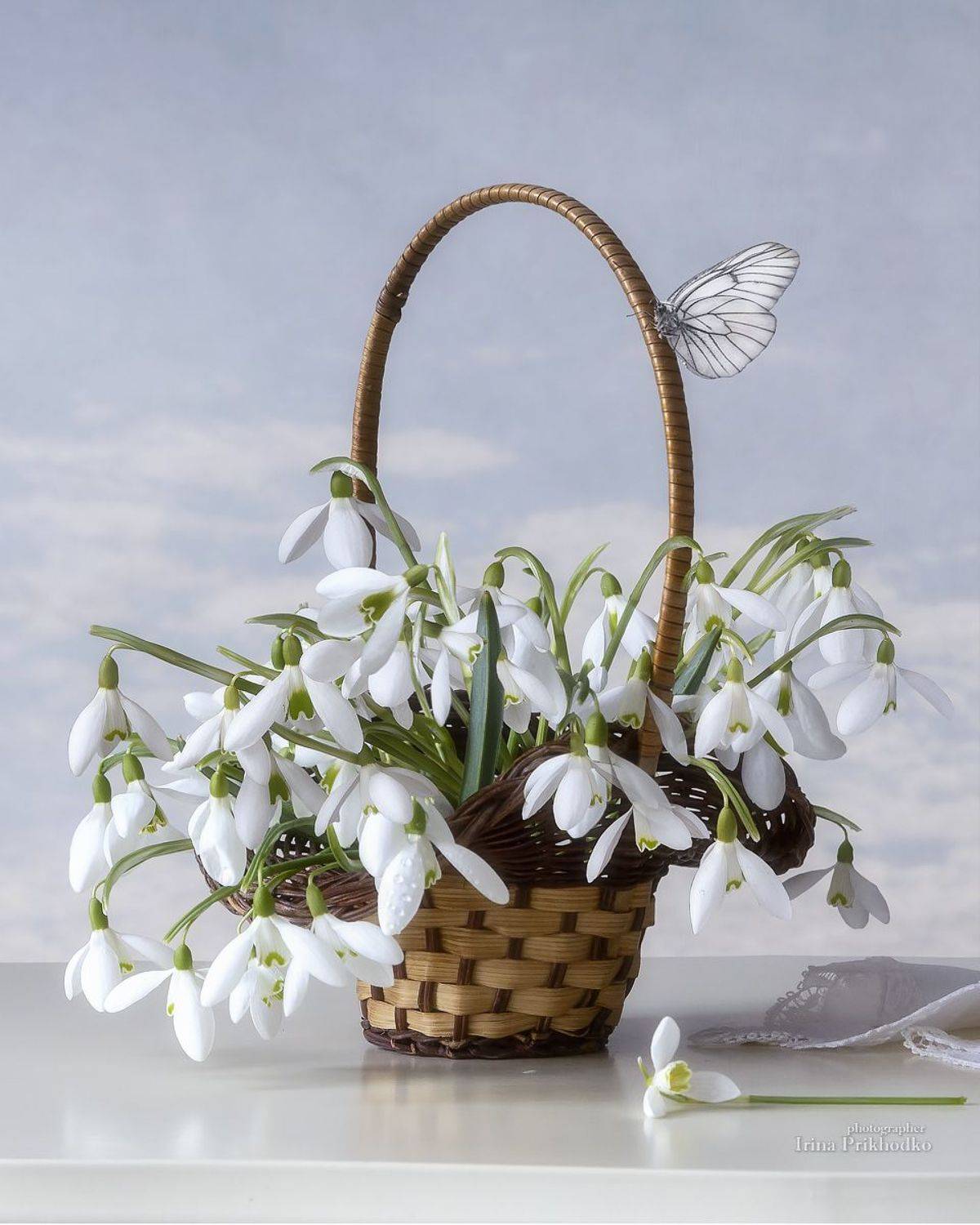 натюрморт, цветы, весна, первоцветы, галантусы, подснежники, букет, Приходько Ирина