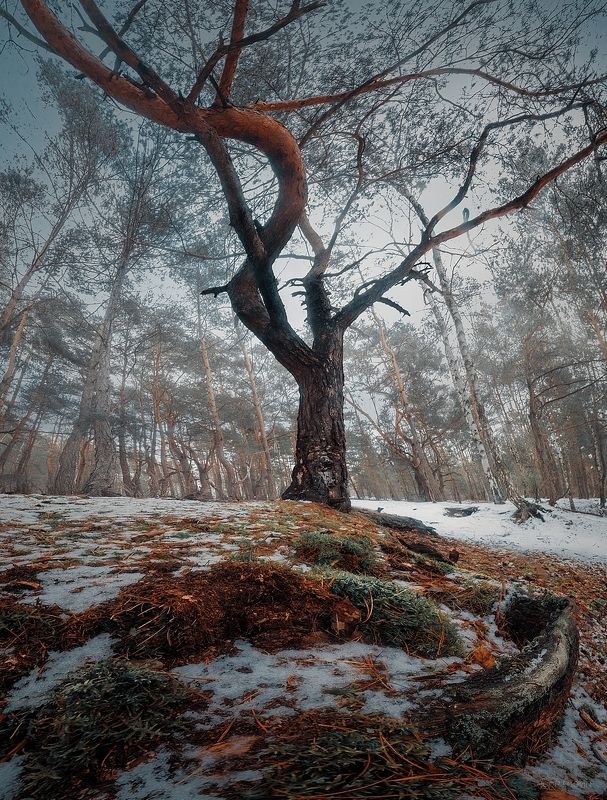 Люблинек фото превью