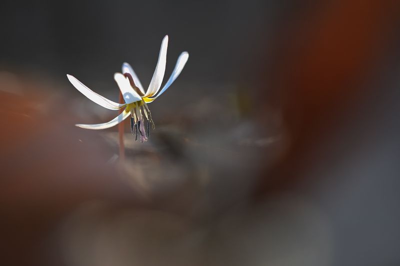 2023 фото превью