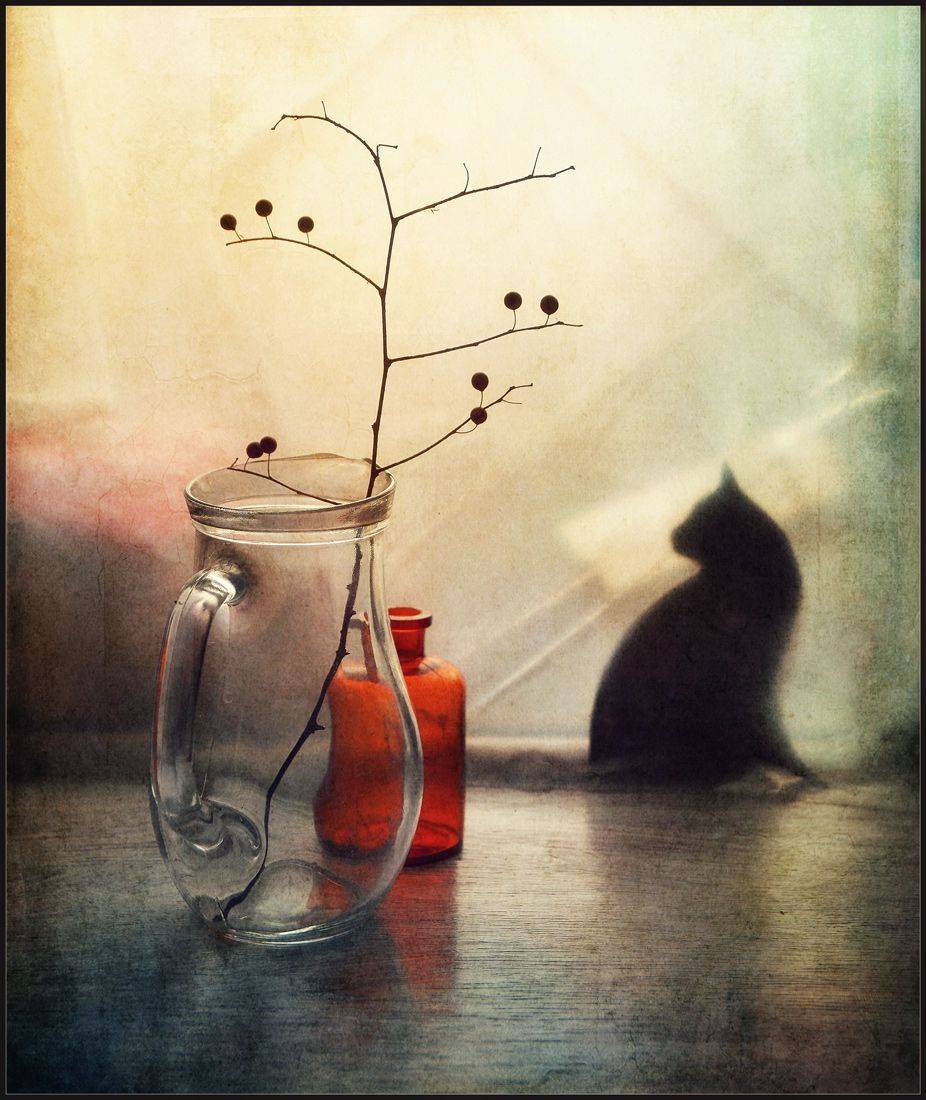 , Хромеев Александр