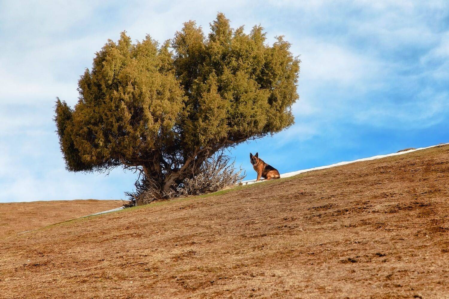 кыргызстан, горы, арча, Элина Магалимова