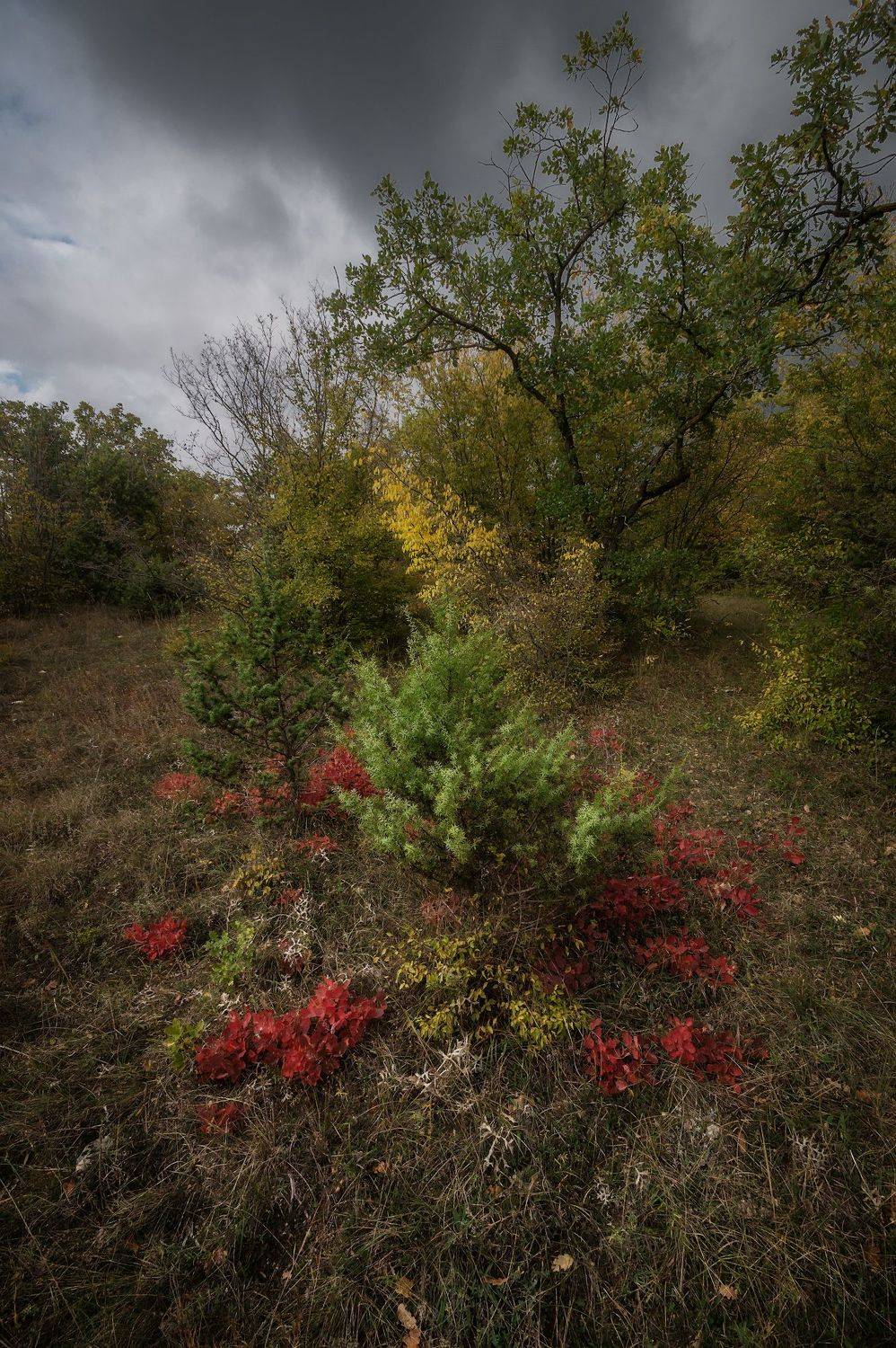 крым, осень,, Черкасов Сергей