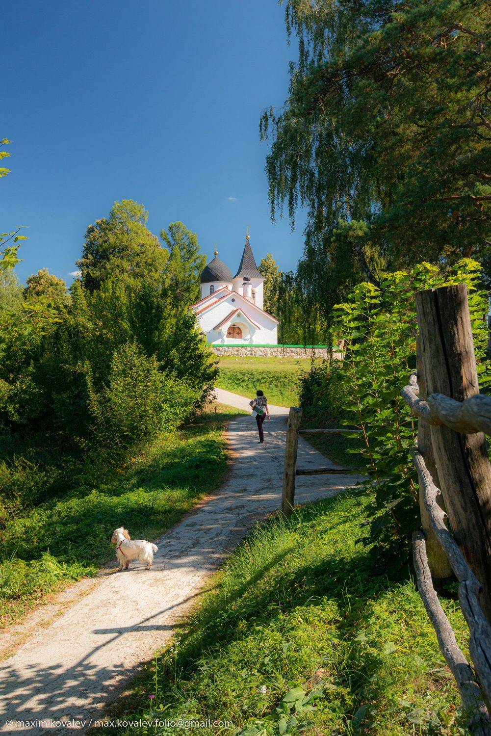 Europe, Russia, Tula region, animal, architecture, building, church, dog, nature, spaniel, temple, Бёхово, Европа, Россия, Троицы Живоначальной церковь, Тульская область, архитектура, животное, здание, природа, пёс, собака, солнечно, спаниель, храм, церко, Максим Ковалёв