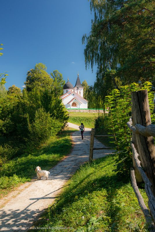 Europe, Russia, Tula region, animal, architecture, building, church, dog, nature, spaniel, temple, Бёхово, Европа, Россия, Троицы Живоначальной церковь, Тульская область, архитектура, животное, здание, природа, пёс, собака, солнечно, спаниель, храм, церко Начало осени в Бёхове (2) фото превью