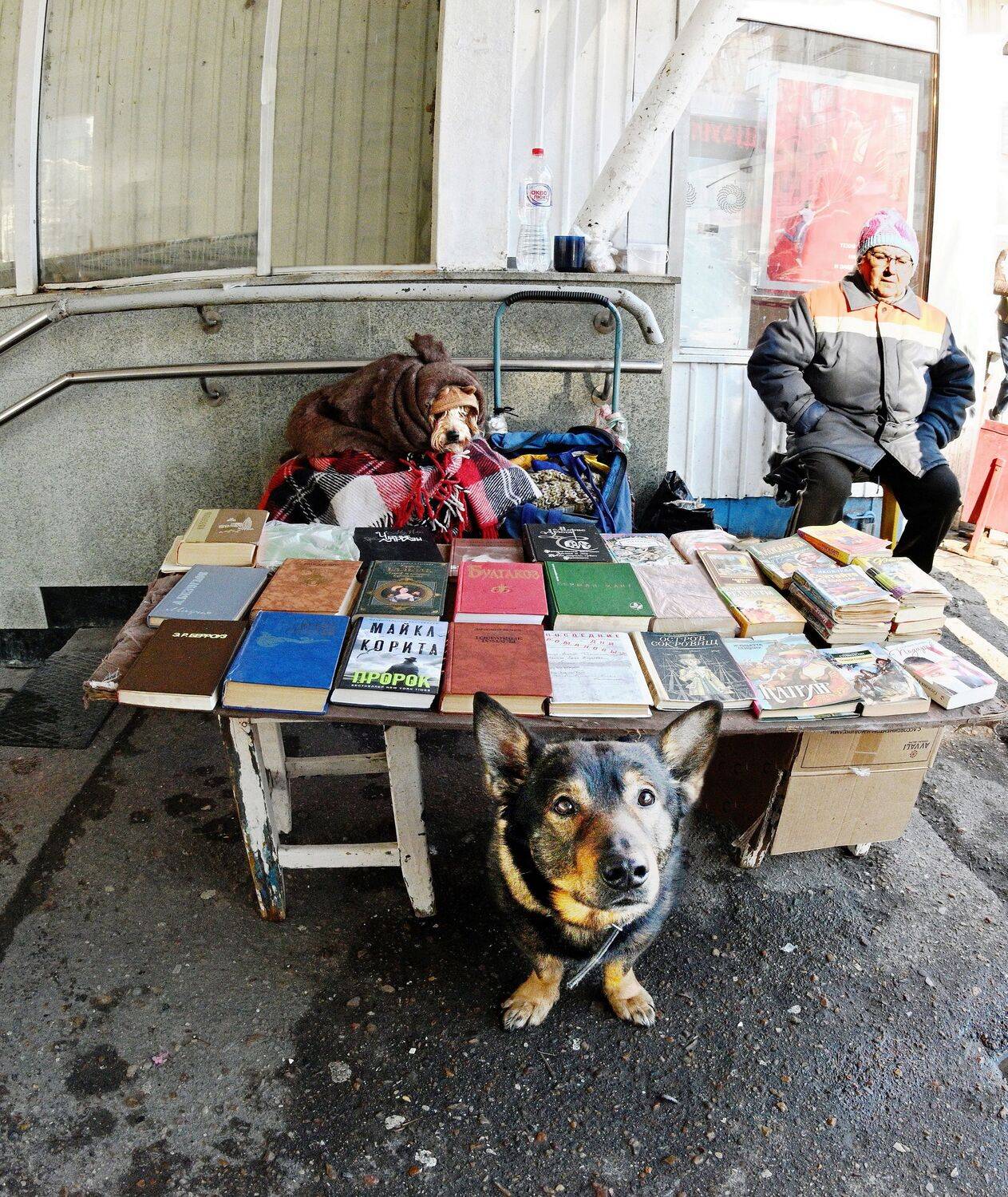 , Меднов Влад