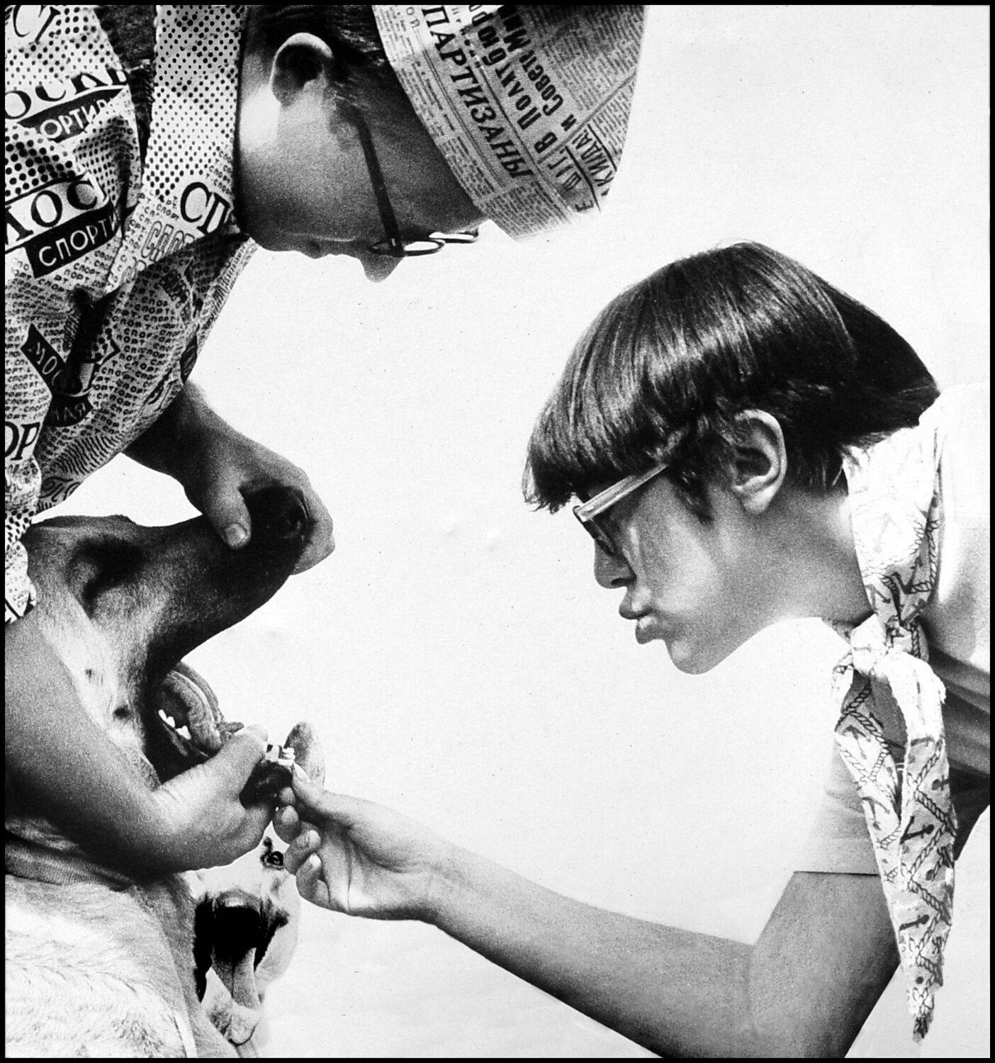 , Меднов Влад