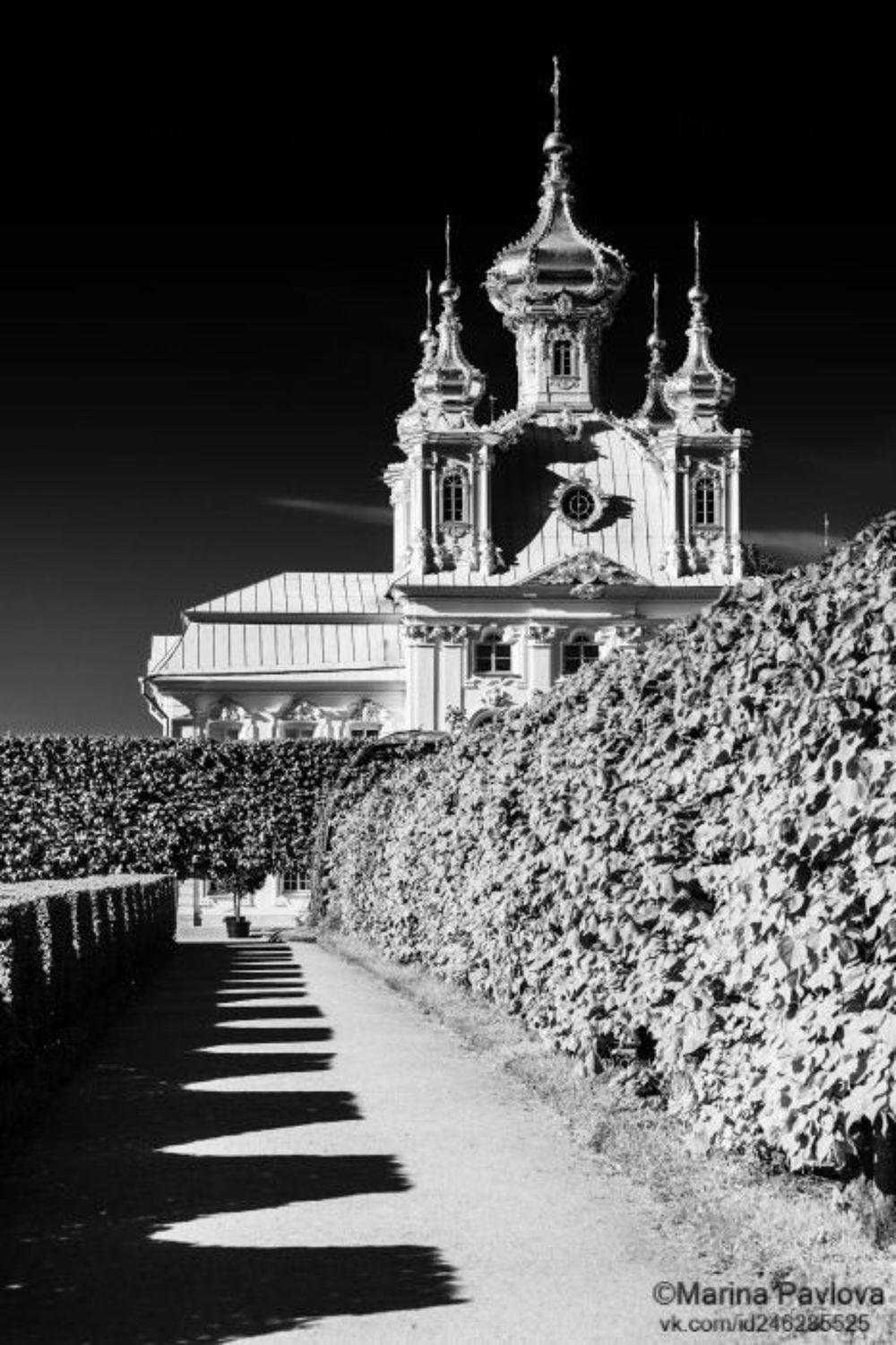 городской пейзаж, архитектура, петергоф, верхний сад, церковь петра и павла, пригороды санкт - петербурга,свет и тени, чёрно - белое фото, чбфото, чёрно - белая магия весеннего петергофа, nikon, Павлова Марина