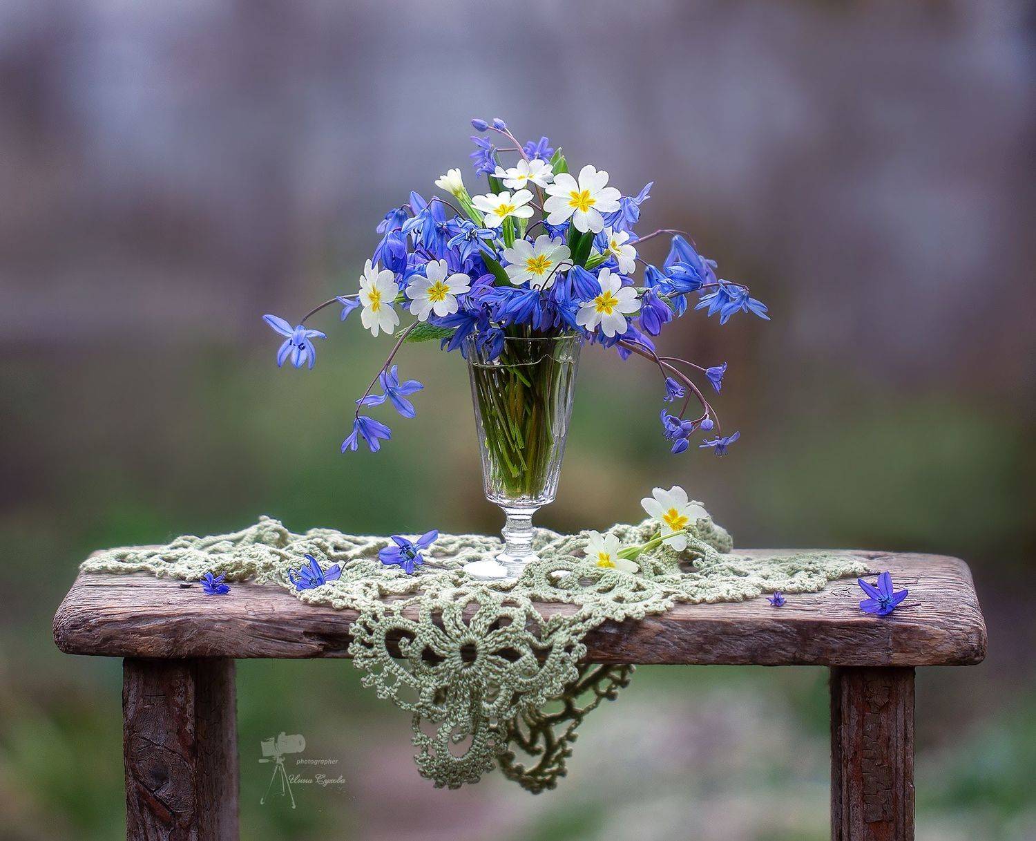 , Инна Сухова