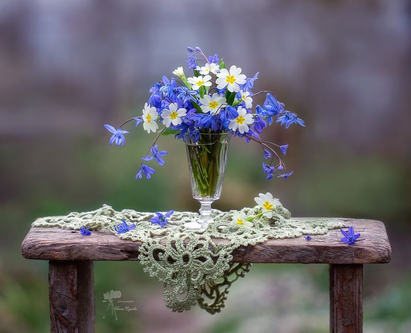 Первые... фото превью