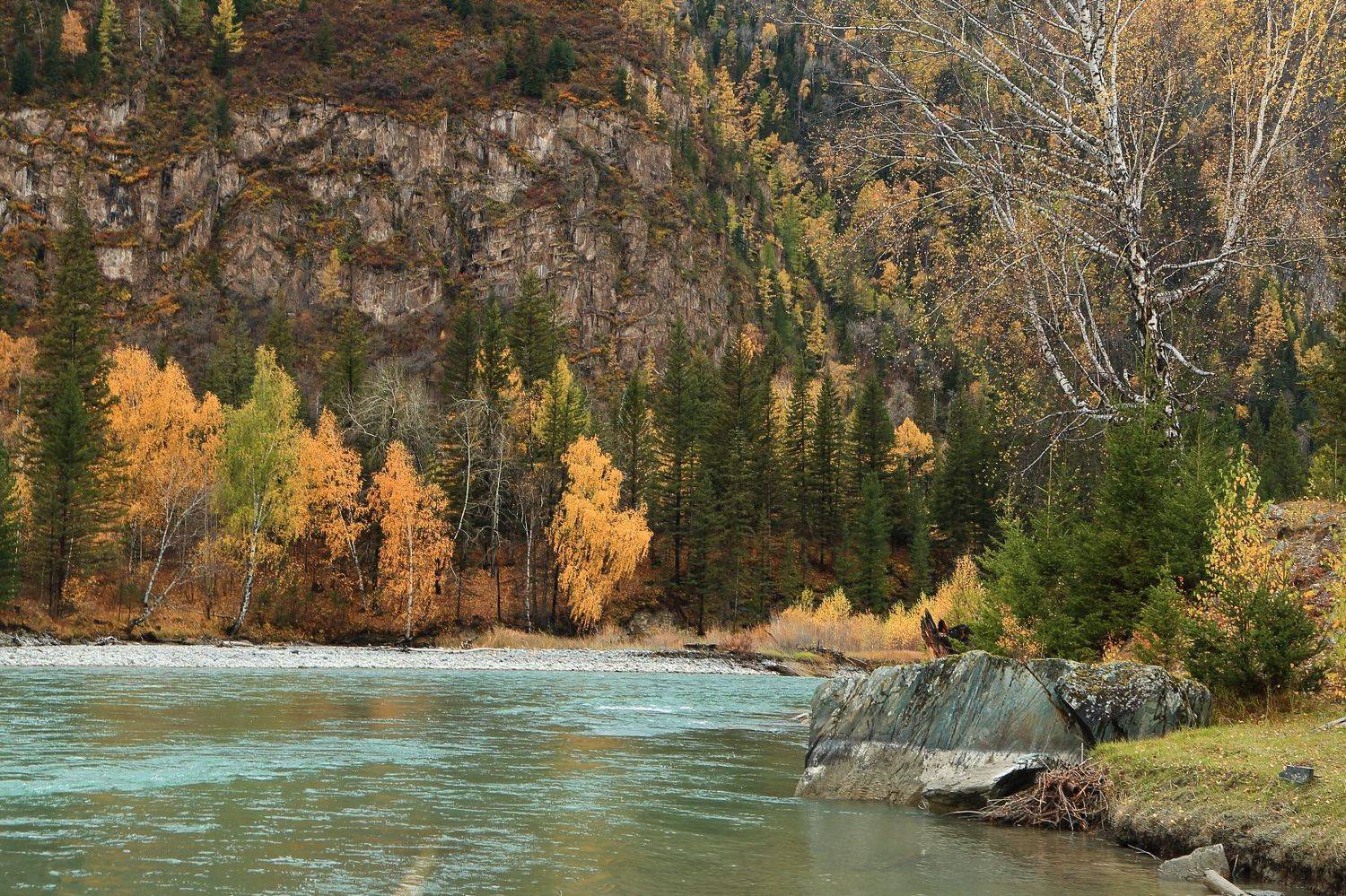 , Евгений Зинов