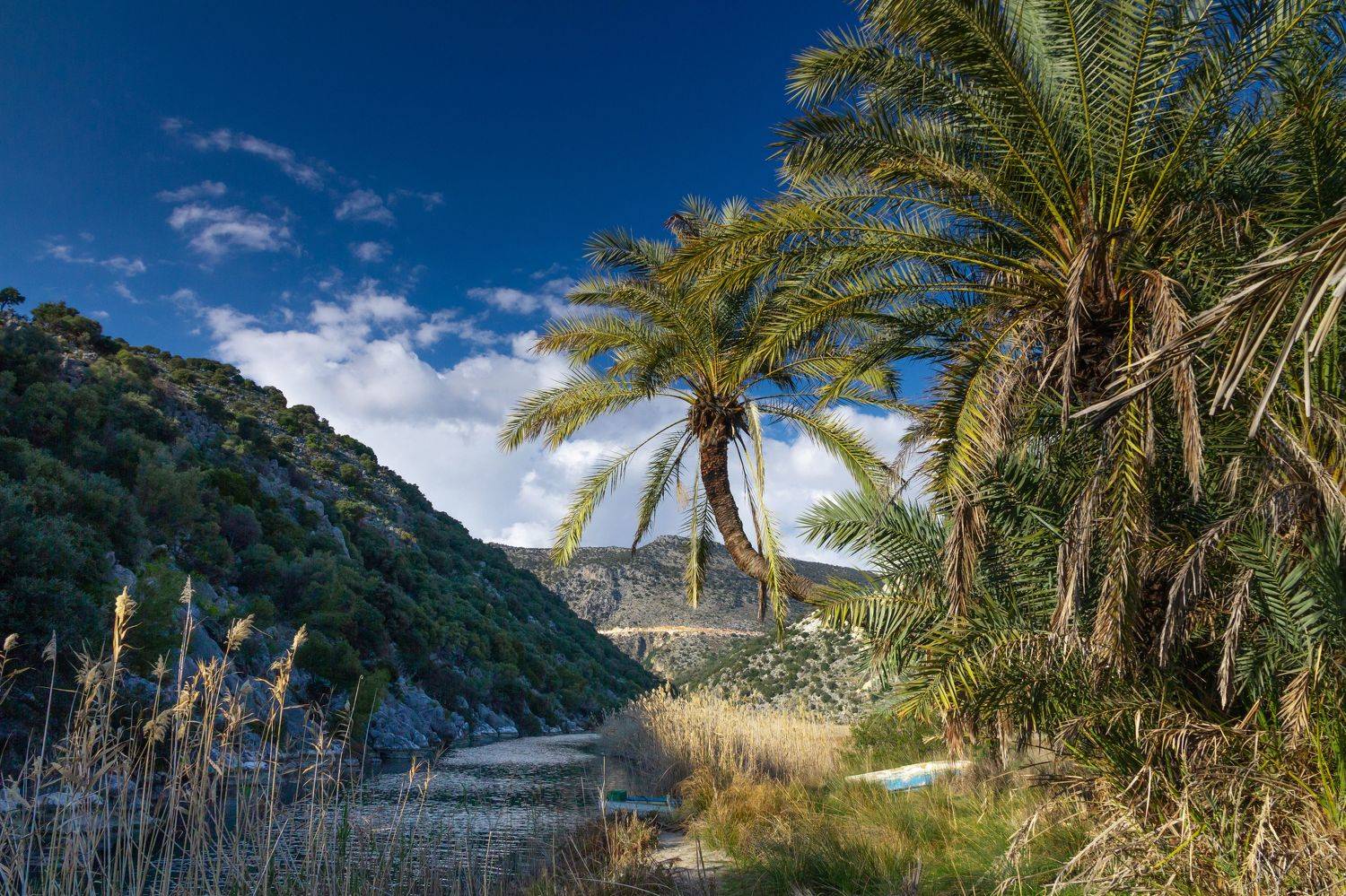Демре, Турция, Пляж, море, пейзаж, река, пальма demre, turkey, andriake, Слащилина Нина