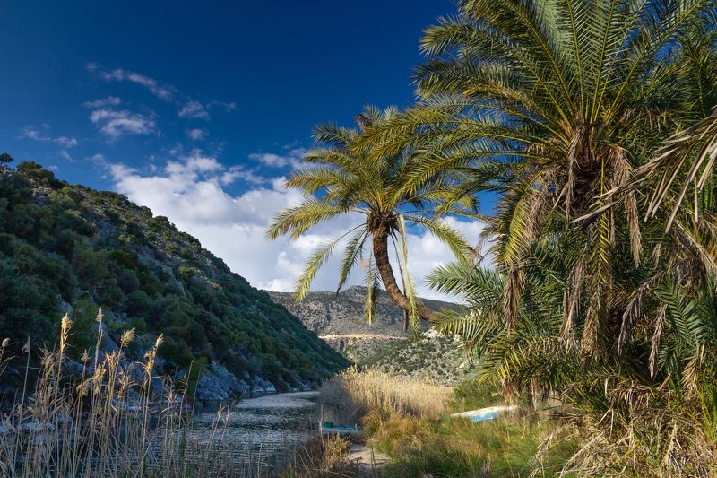 Демре, Турция, Пляж, море, пейзаж, река, пальма demre, turkey, andriake Andriake beach фото превью