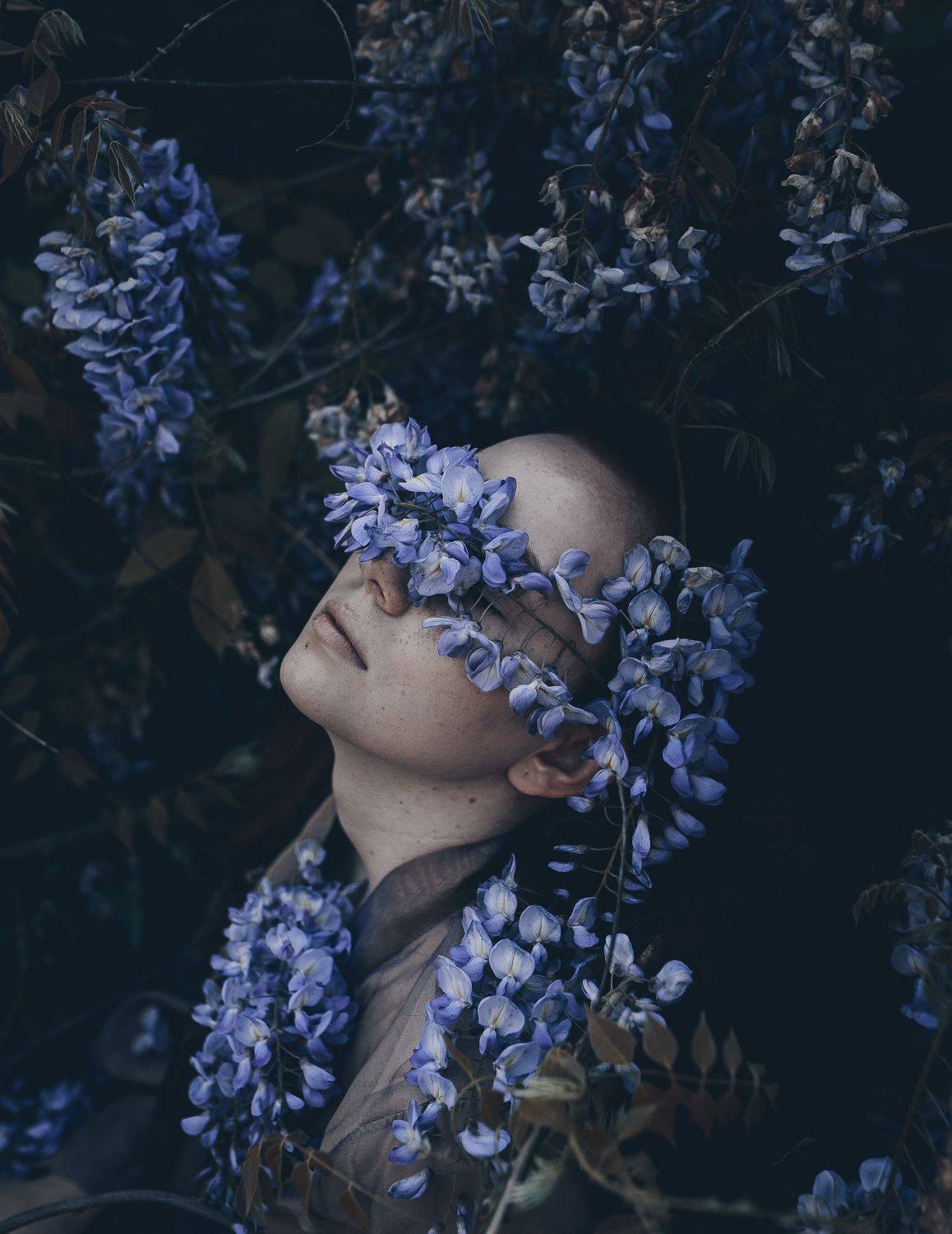 35mm, 4x5, 6x6, 6х6, 85mm, Art, Artnude, Ballerina, Ballet, Battur, Beautiful, Beauty, Canon, Canon 5D Mark III, Car, Color, Dance, Dress, Emotion, Eyes, Face, Flowers, Ganzo, Genre, GirlHair, Hero,LightLilac, Model, Mongol, Mongolia, Вероника Гергерт