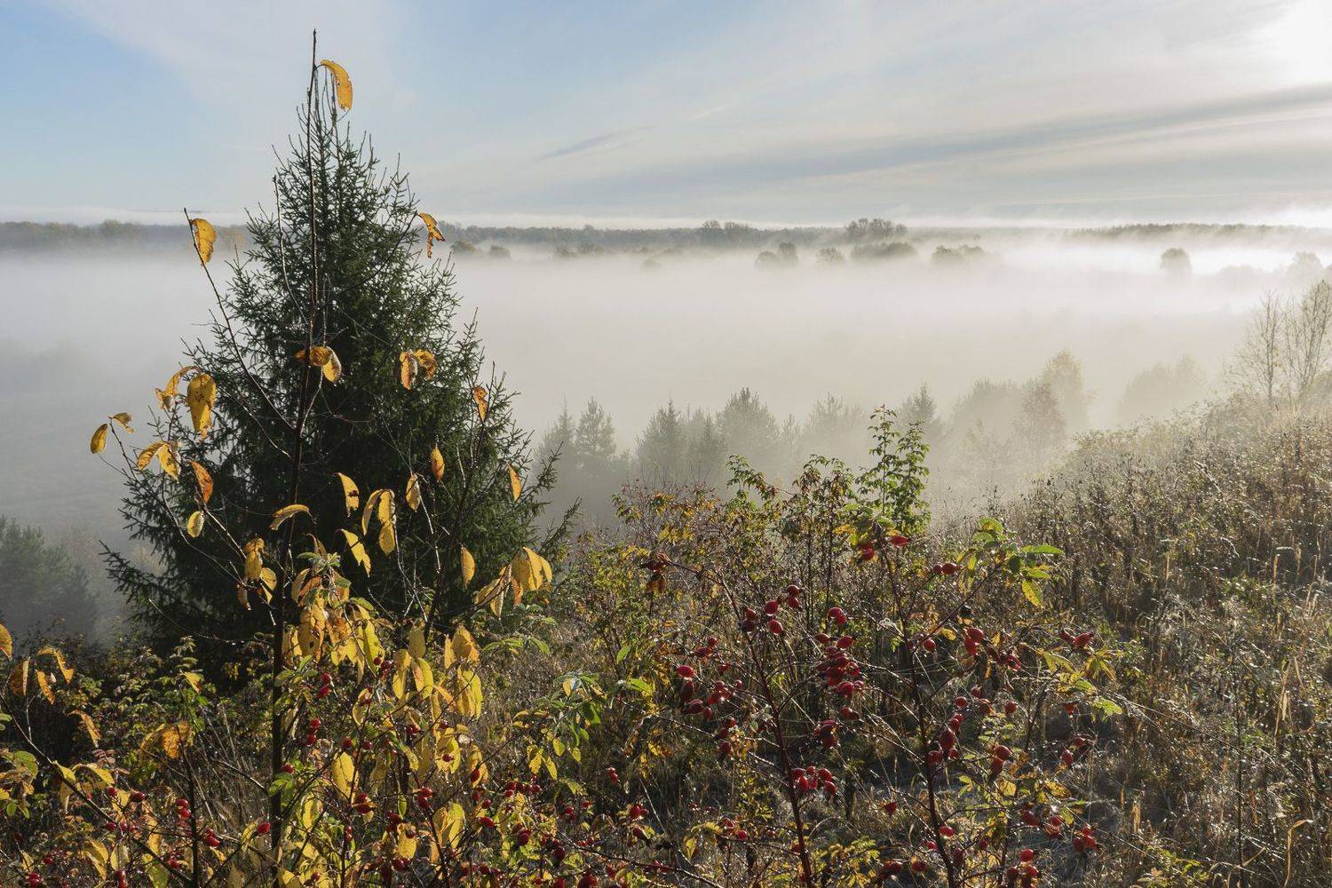 , Галина Луценко