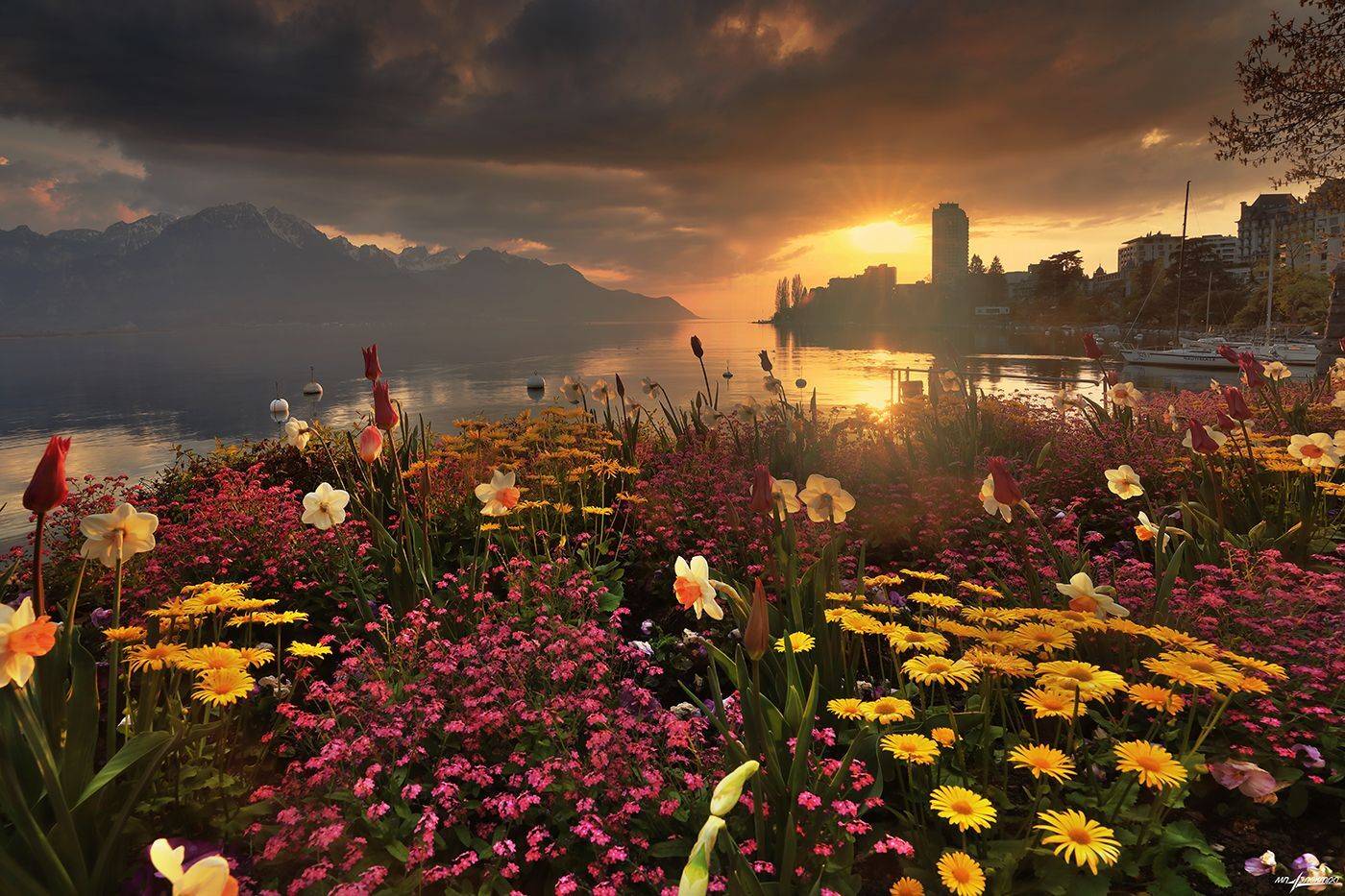 swiss,швейцария,весна,montreux, Николай Матвеев