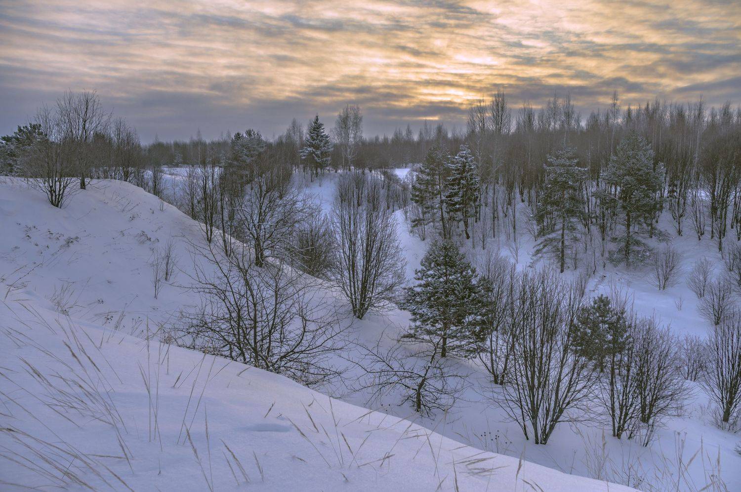 зима., Шитов Александр