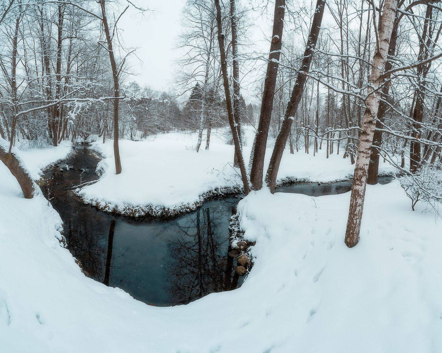 пейзаж, весна, начало весны, природа, Мартыненко Дмитрий