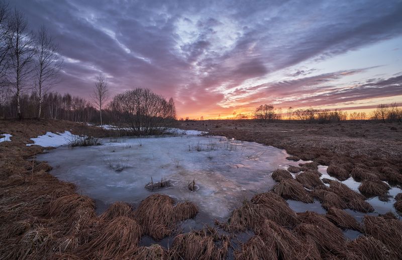 весна,болото,апрель,закат,подмосковье Закат на весеннем болоте фото превью