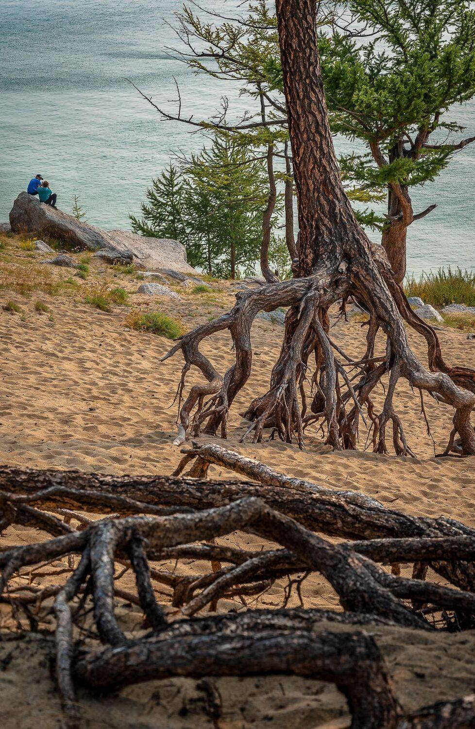 , Васильев Андрей