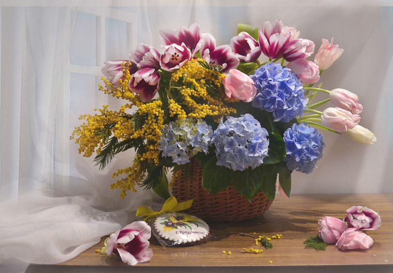 still life, натюрморт, цветы, фото натюрморт, весна, март, тюльпаны,  мимозы, настроение, гортензия Дарите женщинам цветы... фото превью