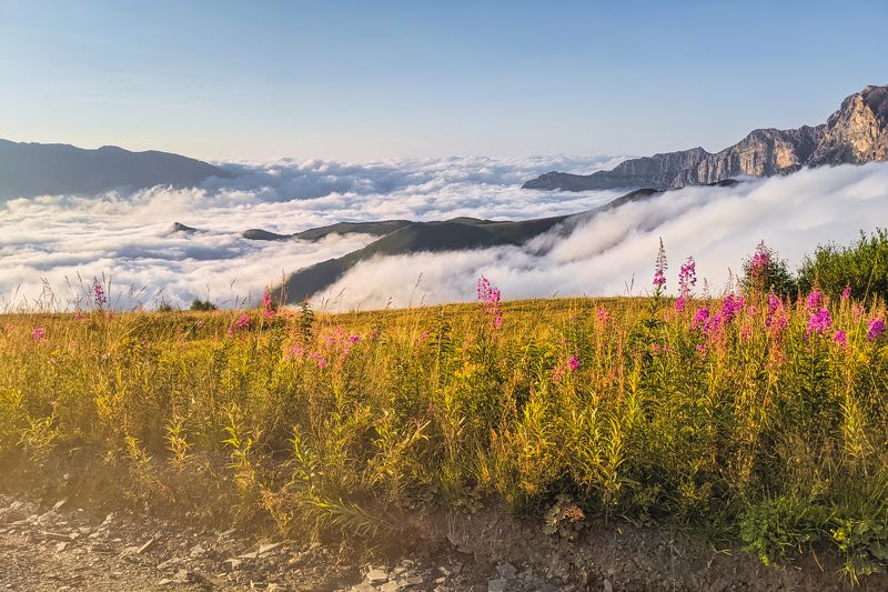 мобильная фотография, природа, северная осетия-алания, nature, mobile photography *** фото превью