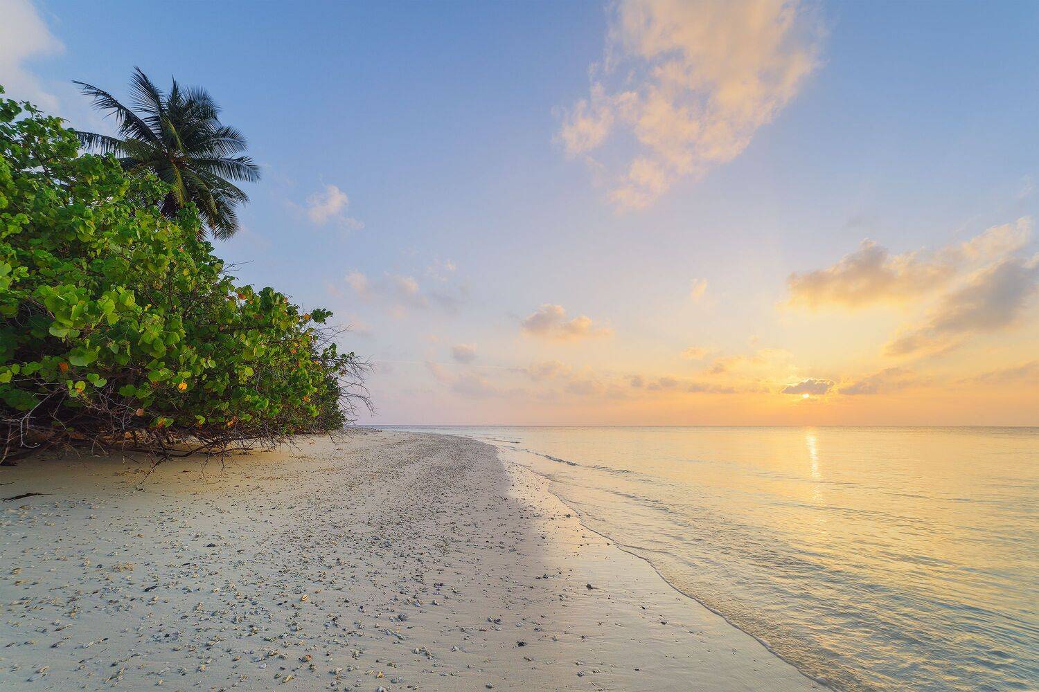 мальдивы, атолл, тропики, пейзаж, вода, природа, maldives, atoll, tropics, landscape, water, nature, волны, рассвет, sunrise, Чаланов Иван