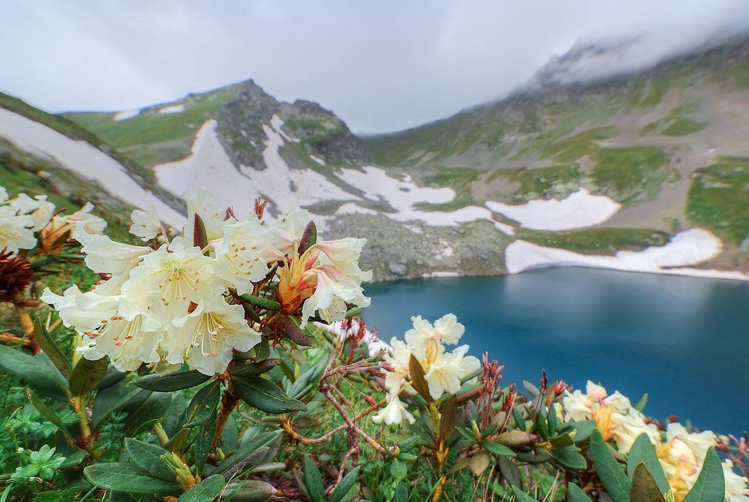 , Сергей Кузнецов