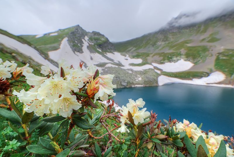 Затерянные в горах фото превью