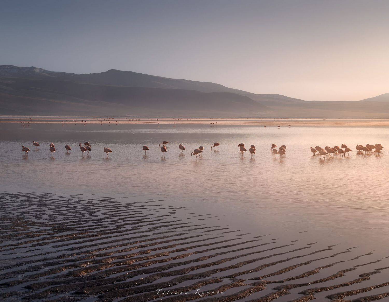 , Рунова Татьяна