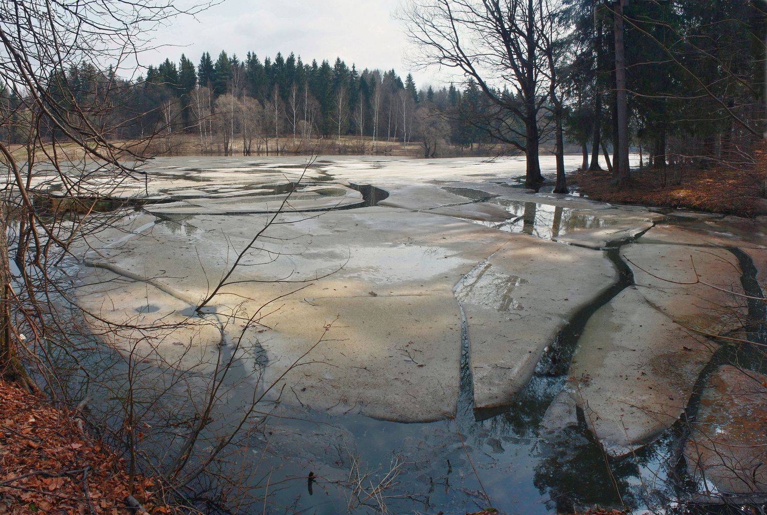 весна, пруд , лес, Александр Свистков