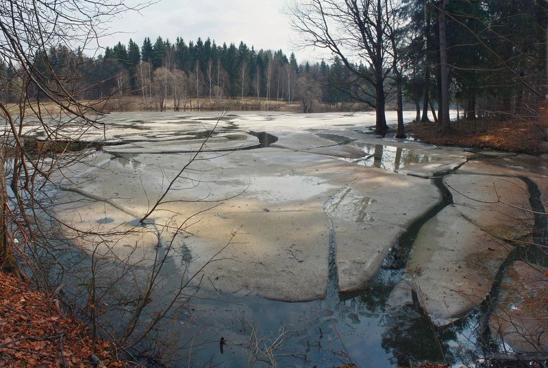 Весна на пруду. фото превью