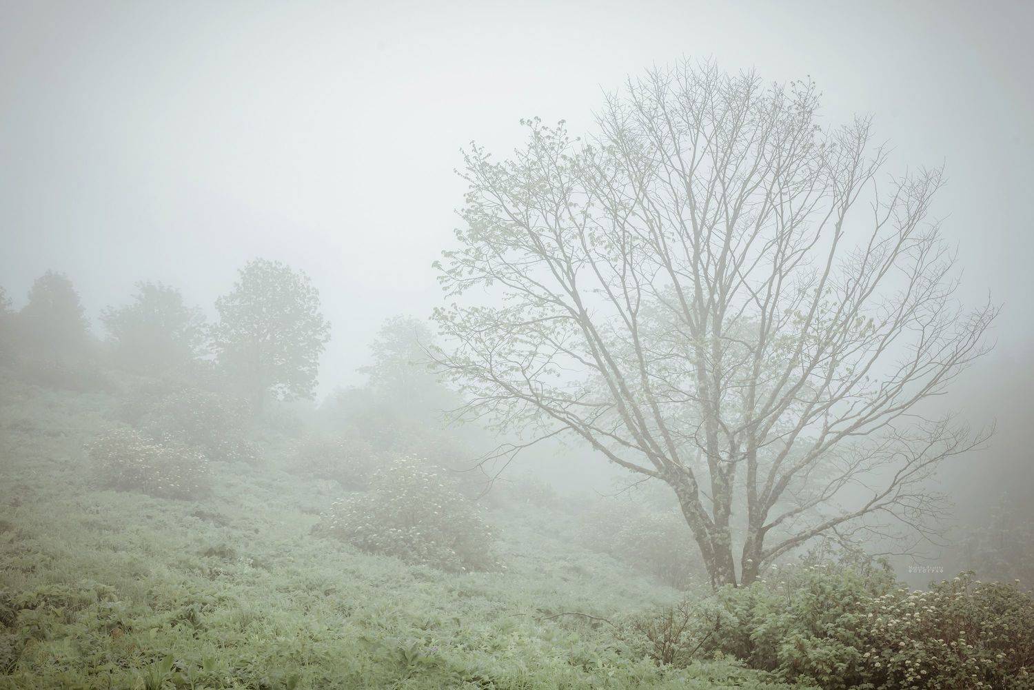 пейзаж, природа, адыгея,  Мариночка